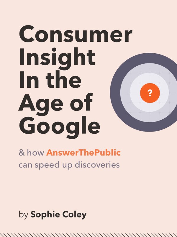 Consumer Insight in the age of Google book cover